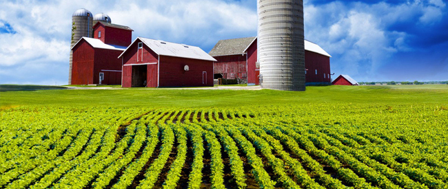 Traditional Vintage Red Farm